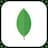 MongoDB